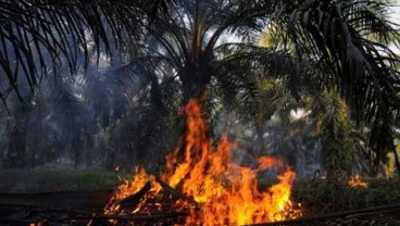 RAPP Tawarkan Rp100 Juta Untuk Desa Bebas Kebakaran Hutan
