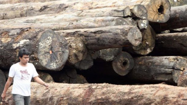 Pebisnis Tolak Kebijakan Australia Soal Sertifikasi Produk Kayu