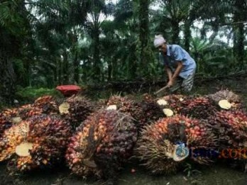 Nilai Investasi di Riau Capai Rp10,8 Triliun