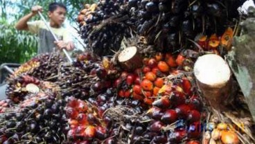 ASTRA AGRO (AALI): Produksi CPO Tumbuh 21,1%