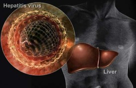 PENYAKIT DALAM: Awasss, Kenali Gejala-gejala Hepatitis C pada Tubuh Anda