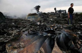 MALAYSIA AIRLINES MH17: Putin & Merkel Sepakat Stop Permusuhan di Ukraina