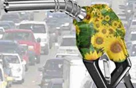 BAHAN BAKAR NABATI: Produsen Biodiesel Yakin Uji Coba B20 Berhasil