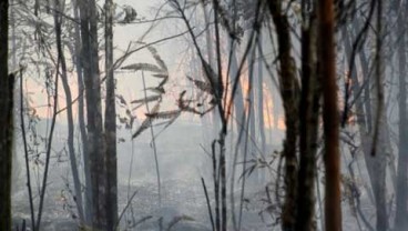 Rokan Hilir Terus Antisipasi Kebakaran Lahan