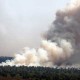Pemprov Riau Harus Tegas Cegah Kebakaran Hutan
