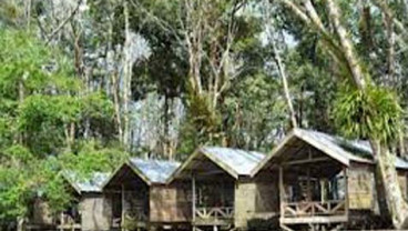 Kampung Tengkawang: Sinergikan Ritual Adat Dalam Menjaga Hutan