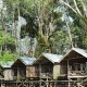 Kampung Tengkawang: Sinergikan Ritual Adat Dalam Menjaga Hutan