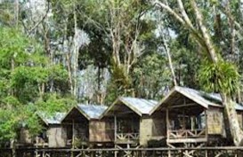 Kampung Tengkawang: Sinergikan Ritual Adat Dalam Menjaga Hutan