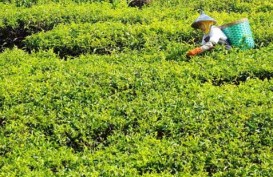 LIBUR LEBARAN: Pengunjung Agrowisata Gunung Mas Tembus 6.000 Orang