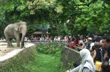 LIBUR LEBARAN: Kebun Binatang Ragunan Paling Banyak Dikunjungi