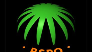 RSPO Dapatkan Status Konsultatif Khusus dari PBB