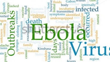 Warga Arab Saudi Diduga Terserang Virus Ebola, Pemerintah RI Waspada