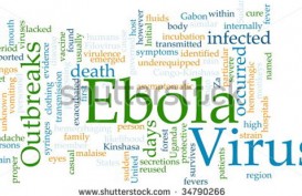 WABAH EBOLA: Warga Arab Saudi Diduga Terserang Virus Meninggal Dunia