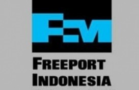 EKSPOR KONSENTRAT: Freeport Lakukan Pengiriman Perdana Hari Ini