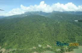 Pengukuhan Kawasan Hutan: Barito Selatan Jadi Daerah Pelopor