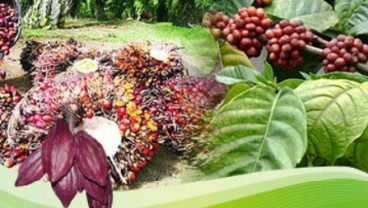 Nilai Tukar Petani: NTP Sulut Di Bawah Rerata Nasional