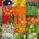 Pekan Depan, Disperindag Sulut Gelar Pasar Lelang Komoditas Agro