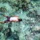 EKONOMI SULUT: Masa Depan Ada di Laut, Indonesia Perlu Dorong