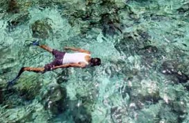 EKONOMI SULUT: Masa Depan Ada di Laut, Indonesia Perlu Dorong