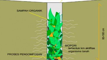 PPLH Pecahkan Rekor MURI Pembuatan Lubang Resapan Biopori