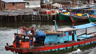 Pembatasan Solar Bersubsidi: Nelayan Jateng Beralih Jadi Kuli Bangunan