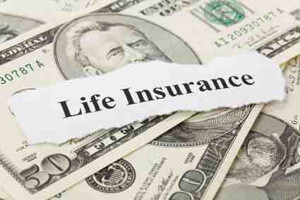 BNI LIFE INSURANCE: Kontribusi Unit Syariah Turun 15% Semester I/2014
