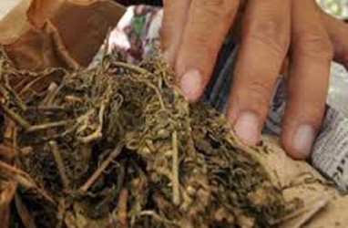 Supir Truk Sampah Selundupkan  2.172 Gram Ganja Ke Lapas, Diringkus