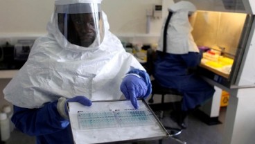 WHO: Laporan Kematian Akibat Kasus Ebola Sangat Meremehkan