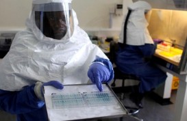 WHO: Laporan Kematian Akibat Kasus Ebola Sangat Meremehkan