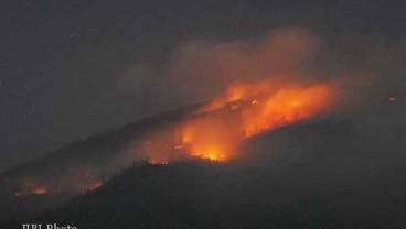 Kebakaran Hutan di Lereng Gunung Lawu, Jalur Pendakian Ditutup Sementara