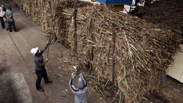 Pefindo Tegaskan Peringkat TBLA Pada idA