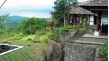 AGROWISATA BALI Mulai Dilirik Wisatawan Asing Dan Domestik