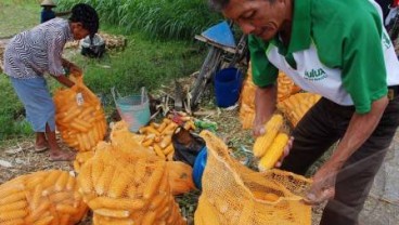 Setiap Tahun, Indonesia Defisit 40.000 Hektare Lahan Pertanian