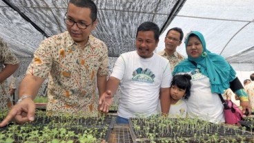 Urban Farming, Ewindo Pelopori Pertanian Kota