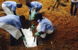 Wabah Ebola Meluas di Afrika