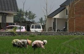 LAHAN PERTANIAN, Setiap Tahun 273 Ha di Banten Menghilang