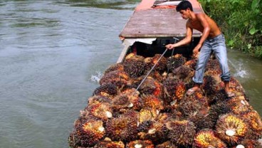 Harga TBS Riau Menyentuh Titik Terendah Tahun Ini