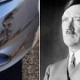 Unik, Bumper Mobil Ini Munculkan Gambar Mirip Hitler
