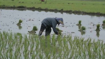 Pemkab Karawang Akan Bentuk Perda Alih Fungsi Lahan