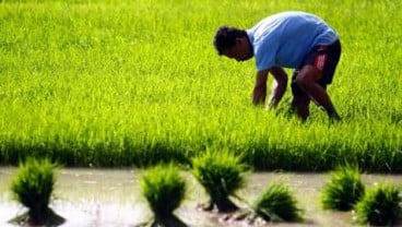 BPTP Aceh Gelar Pameran Agro Inovasi 25 September