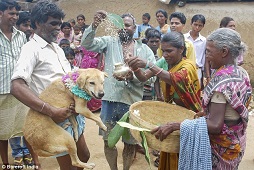 Usir Mantra Jahat, Gadis India Ini Rela Nikahi Anjing