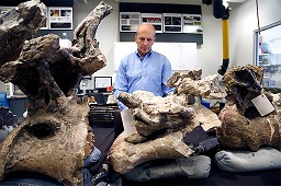 Wow, Dinosaurus Terbesar di Dunia Kembali Ditemukan