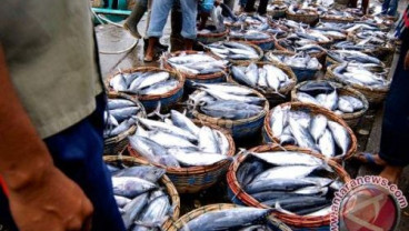 Waduk Percontohan Antisipasi Kematian Ikan Mendadak