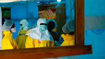 VIRUS EBOLA: Sukses Eksperimen Vaksin pada Monyet, Berikutnya Manusia