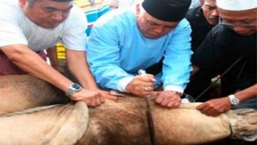 HARI RAYA IDULADHA: Depok Latih 100 Anggota DKM Sembelih Hewan Kurban