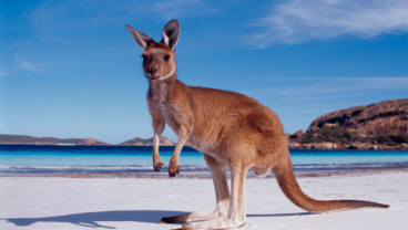 Pekerja Paruh Waktu Kerek Angka Tenaga Kerja Australia