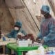 EPIDEMI EBOLA: Sierra Leone Hadapi Kelumpuhan Ekonomi