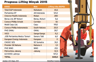 Data Bisnis: Lifting Minyak 2015 Dipatok 900.000 Bph, Ini Rinciannya