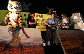 GREENPEACE: Lahan Gambut di Indonesia "Sekarat"