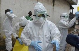 Wabah Ebola: Setelah Warga AS, Giliran Warga Prancis Tertular. Bakal Jadi Wabah Dunia?